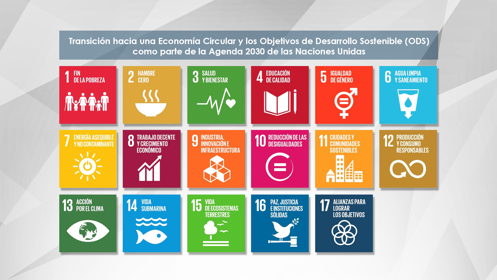 imagen-carrusel- Transición hacia una Economía Circular y los Objetivos de Desarrollo Sostenible (ODS) como parte de la Agenda 2030 de las Naciones Unidas